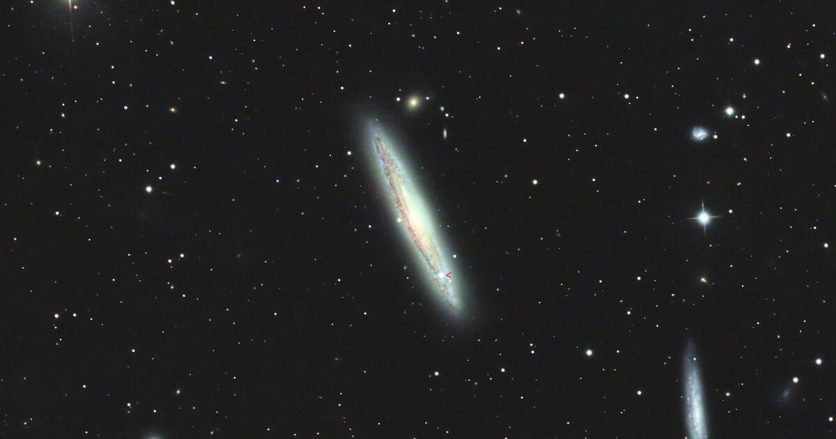 Supernova 2024gy on 20 Jan 2024 Telescope Live